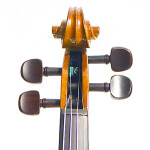 Stentor Student I Violin Outfit