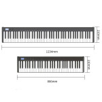 Tetra KPH61S Digital Piano