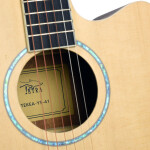 Tetra TEKEA-YS-41 Solid Top Acoustic guitar
